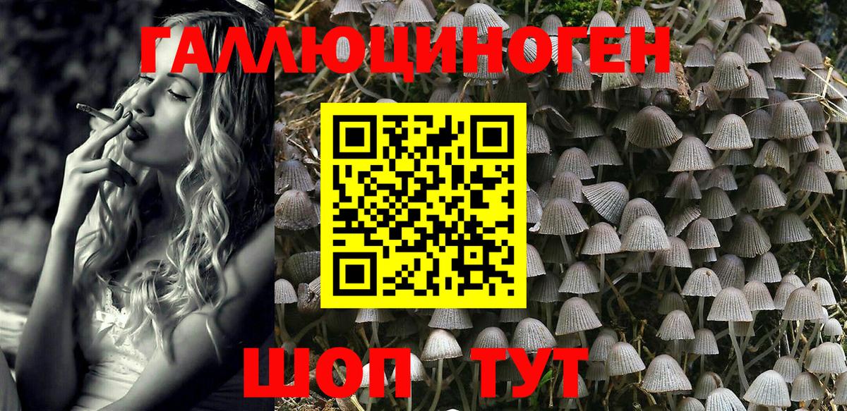 Лениногорск  Галлюциногенные грибы Psilocybe  Вход с VPN  Галлюциногенные грибы MAGIC MUSHROOMS 